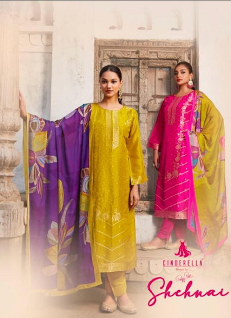 Shehnai By Cinderella Designer With Handwork Salwar Suit Wholesale Market In Surat